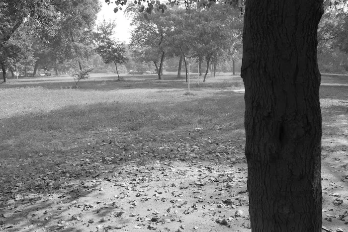 B Block Small Park - 2