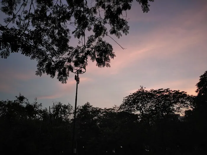 B Block Surjmal Vihar Park - 1