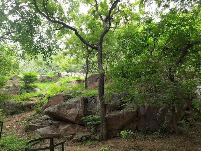 Qutab Minar Park - 6