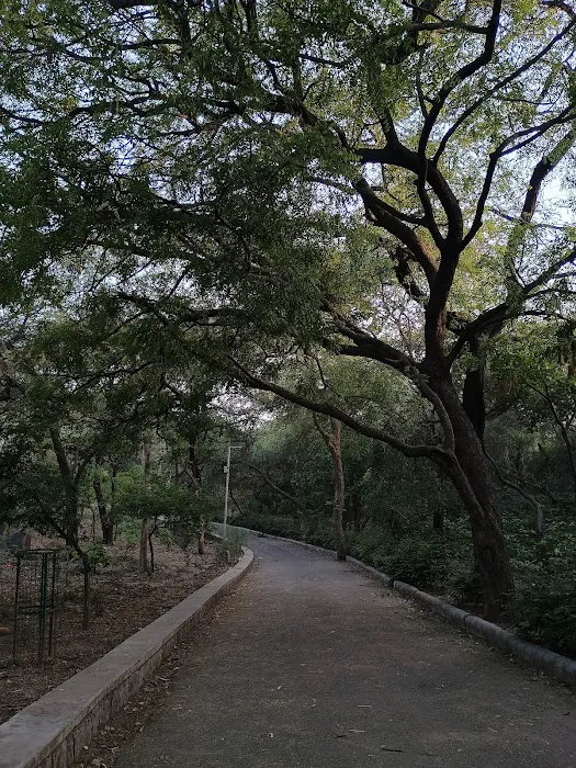 Mehrauli Complex Park Phase IV (DDA) - 2