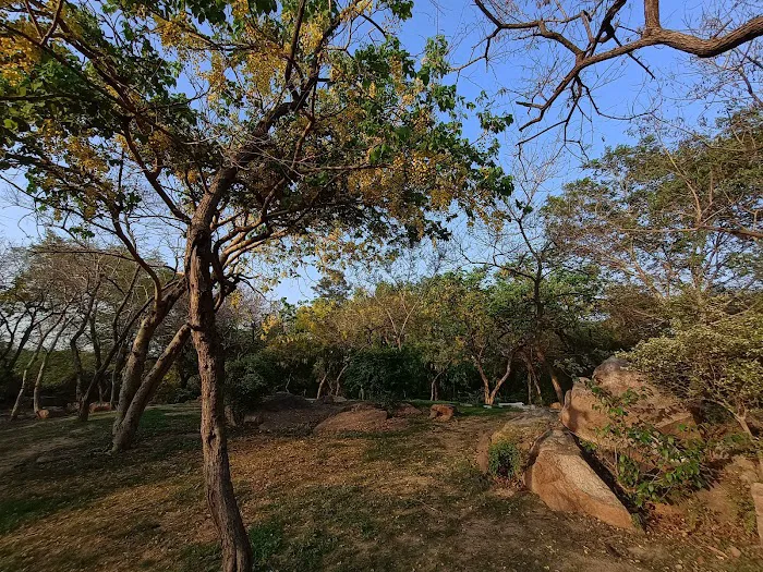 Mehrauli Complex Park Phase IV (DDA) - 4