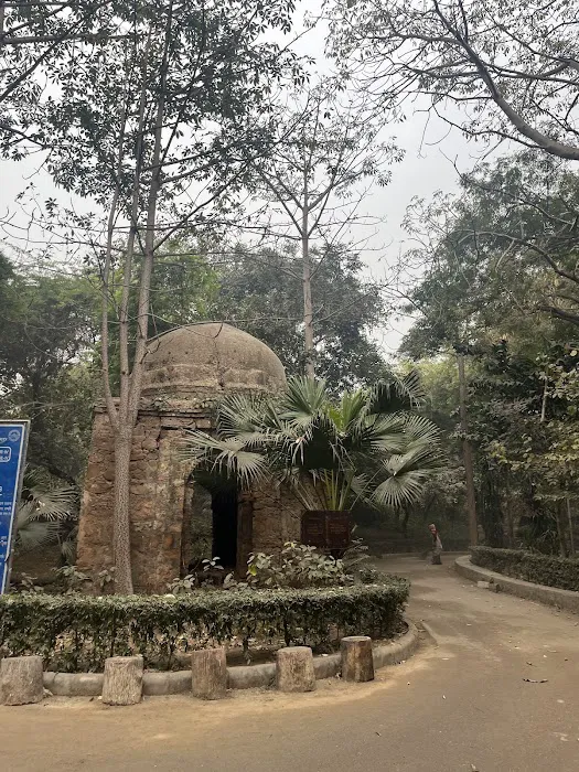 Mehrauli Complex Park Phase IV (DDA) - 3
