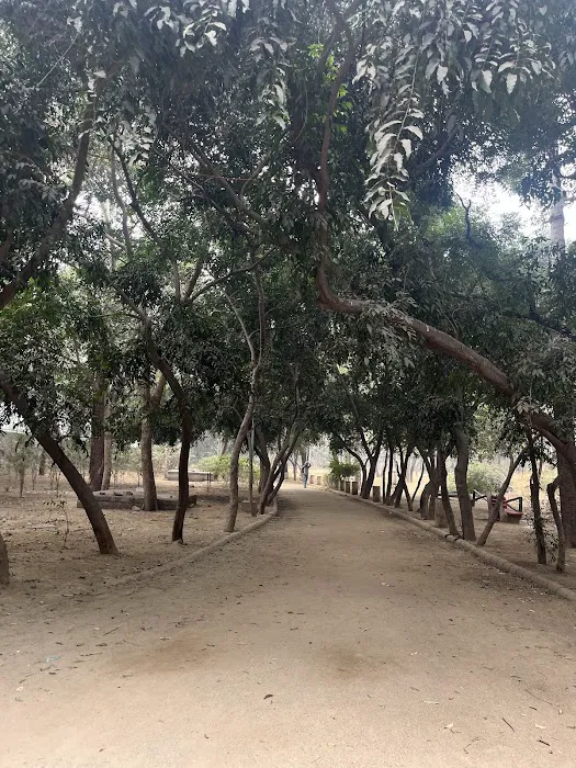 Mehrauli Complex Park Phase IV (DDA) - 7