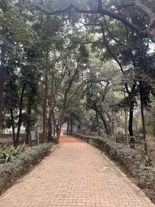 Mehrauli Complex Park Phase IV (DDA) - 8