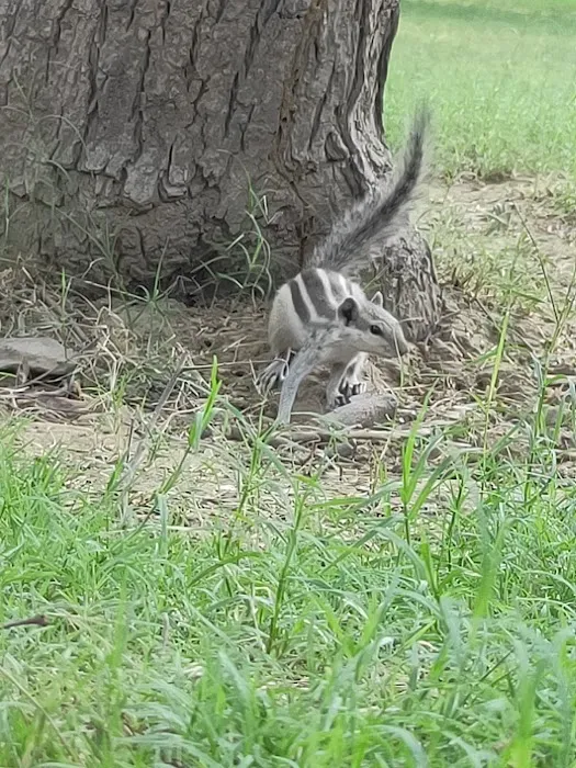ICD Park - 2