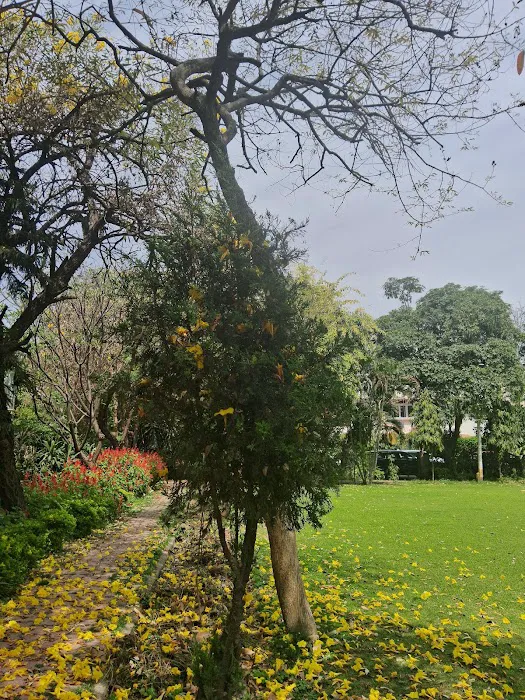 Tanya behl park - 3