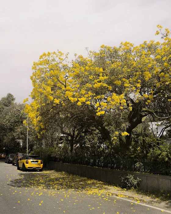 Tanya behl park - 2
