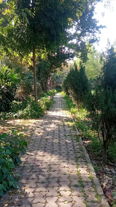Tanya behl park - 8