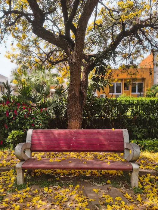 Tanya behl park - 6
