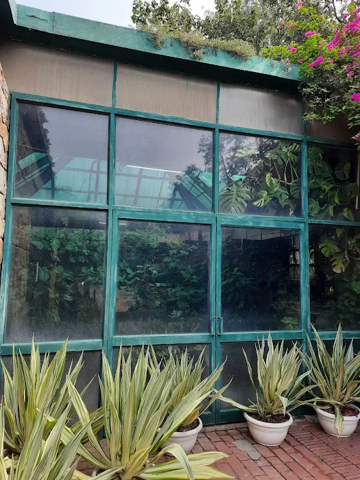 Glass House - 6