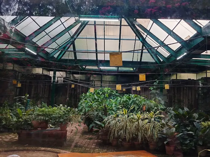 Glass House - 9