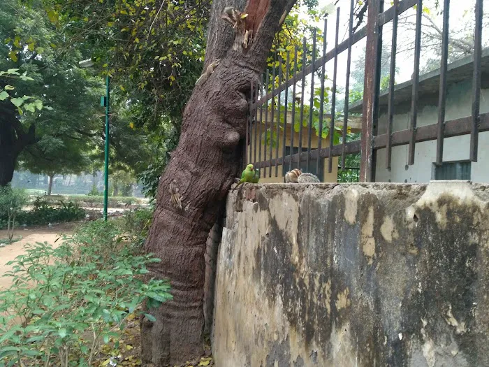 Neighborhood Park, E Block, Saket - 2