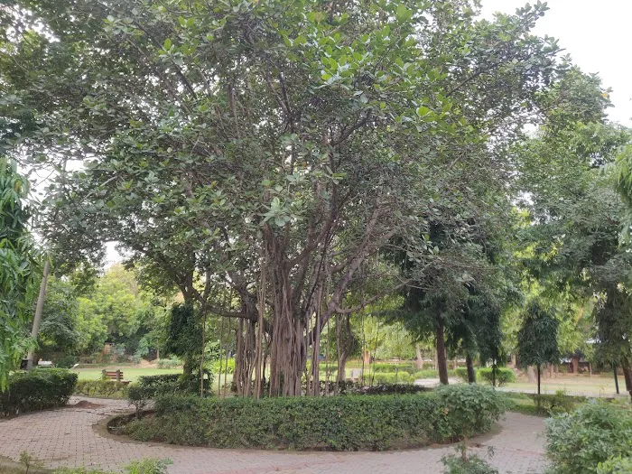 Neighborhood Park, E Block, Saket - 8