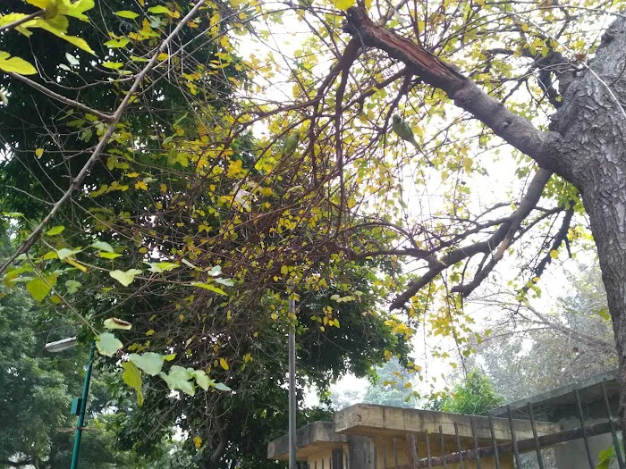 Neighborhood Park, E Block, Saket - 9