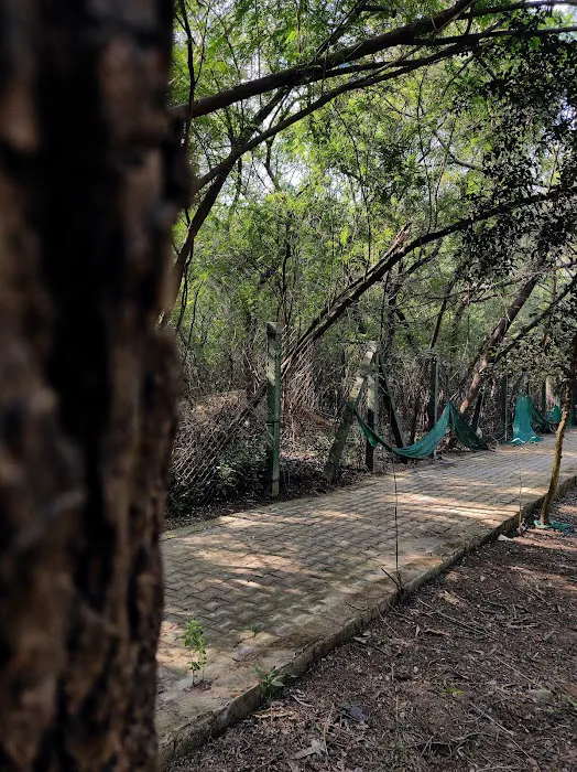 City Forest - 2