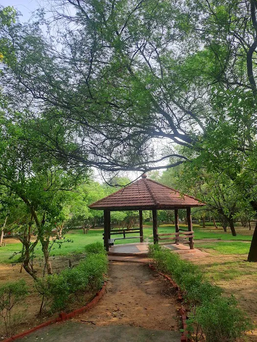 City Forest - 3