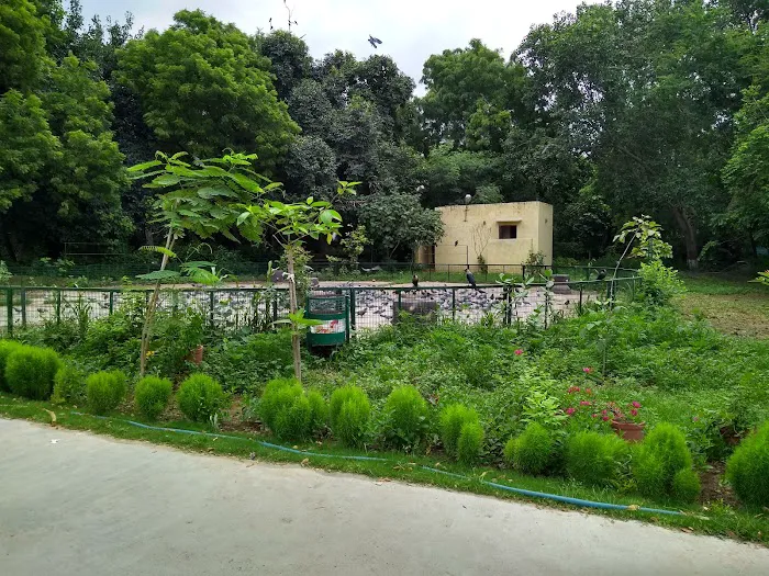 City Forest - 7