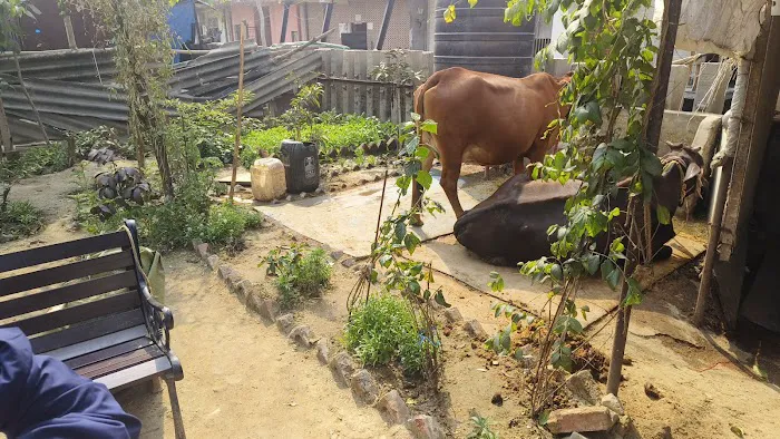 Raju bhadana farm - 1