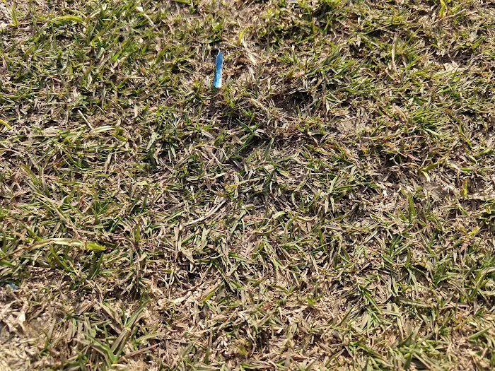 Jagmohan Mahajan Park - 9