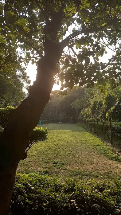Sarojini Naidu Park - 1