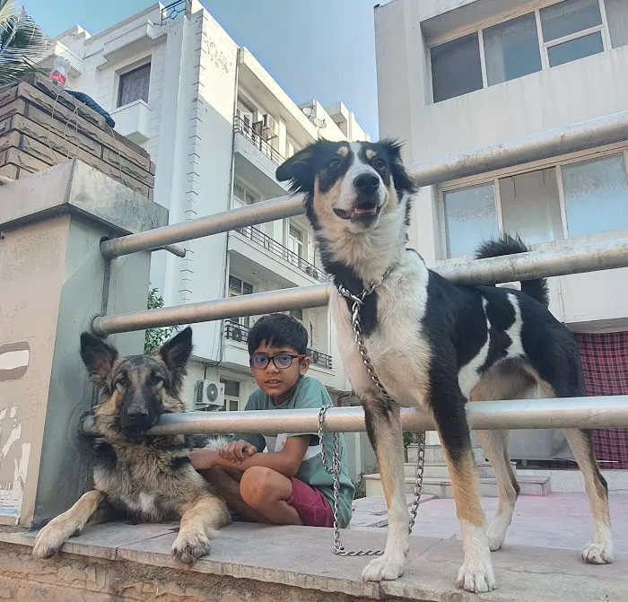 Kailash colony - 3