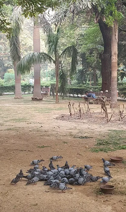 Kailash colony - 9