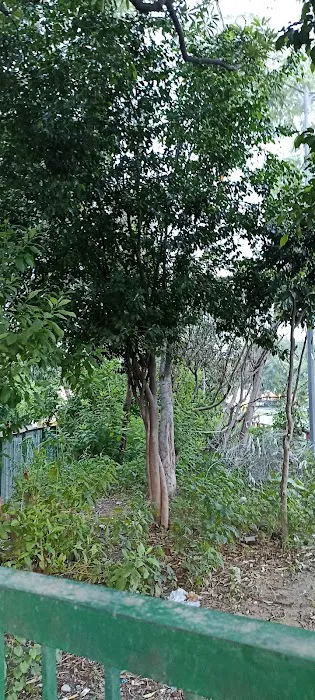 Spontaneous mini park - 1