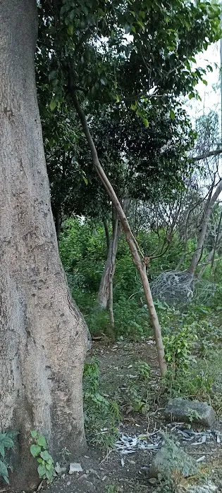 Spontaneous mini park - 2