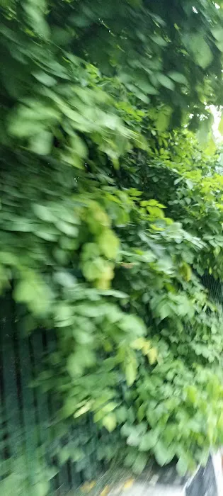 Spontaneous mini park - 0