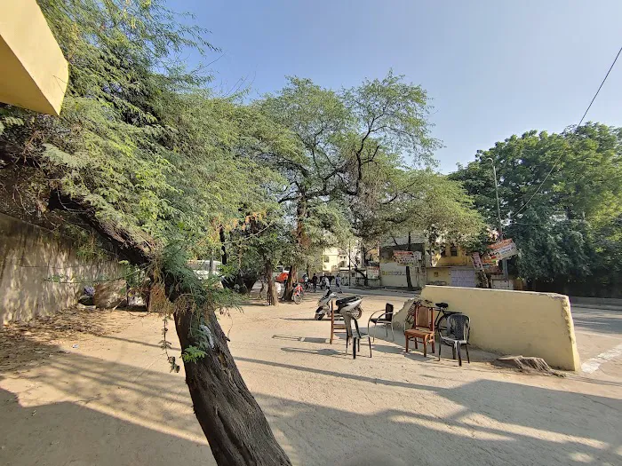 cricket ground - 3