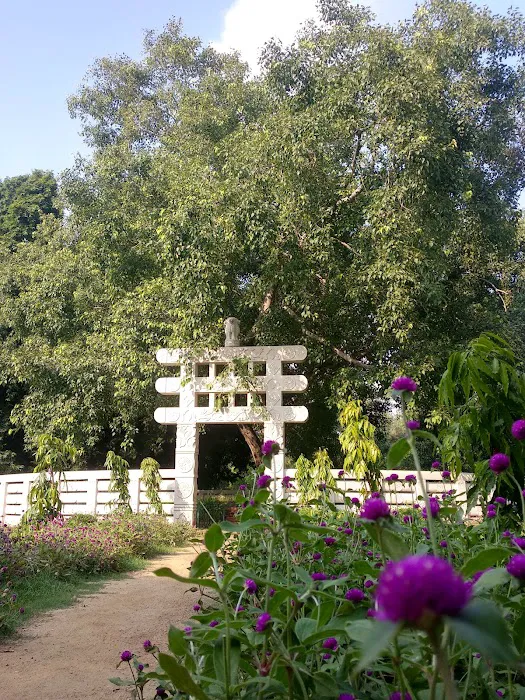 Buddha Park - 1