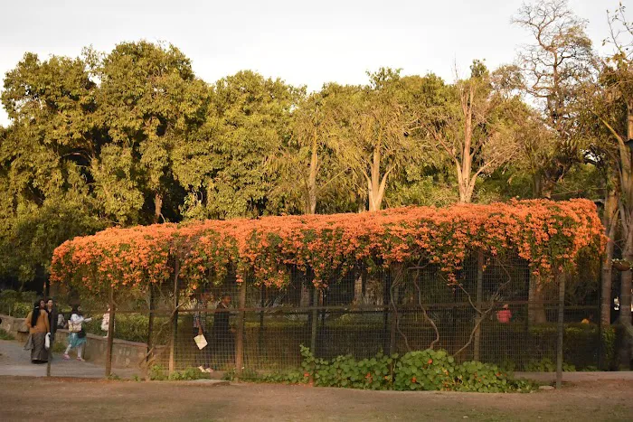 Rose Garden - 6