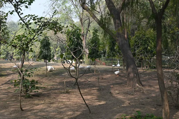 Rose Garden - 9