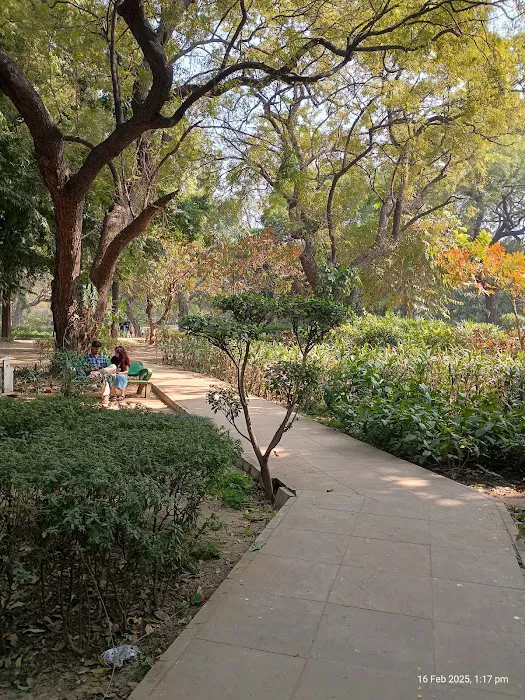 Gol Garden - 3