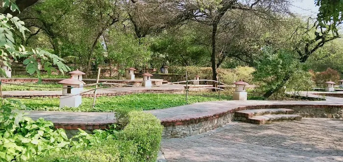 Herb Garden - 8
