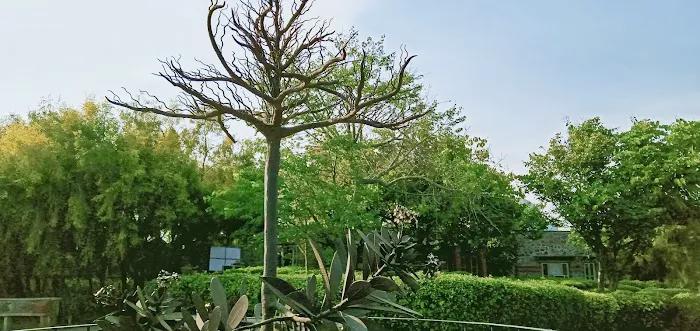 Gate No.3 Garden of Five Senses - 6