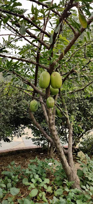 Khwabgah - 6