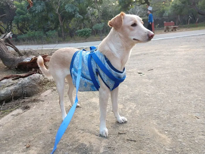 Saidulajab Samudayik Park - 3