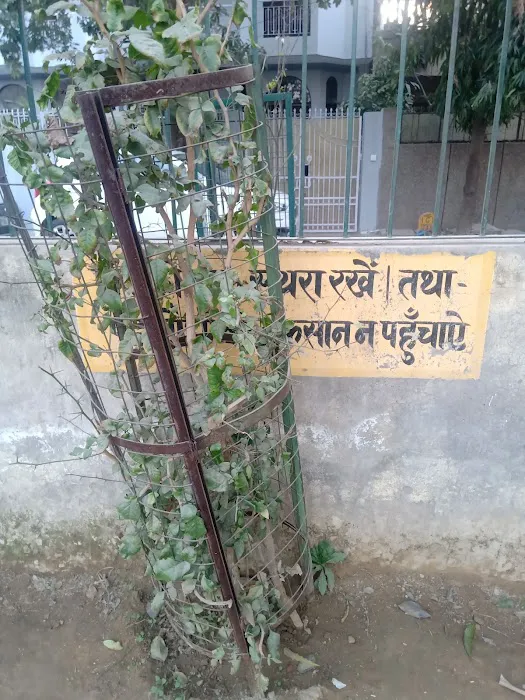 Park at Freedom Fighter Enclave - 3